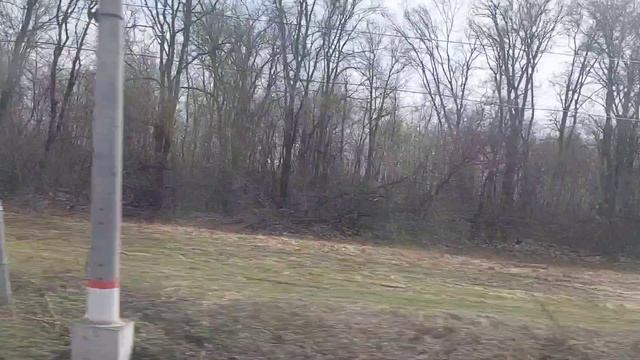 Дорога домой. Не жизнь, а сплошные приключения