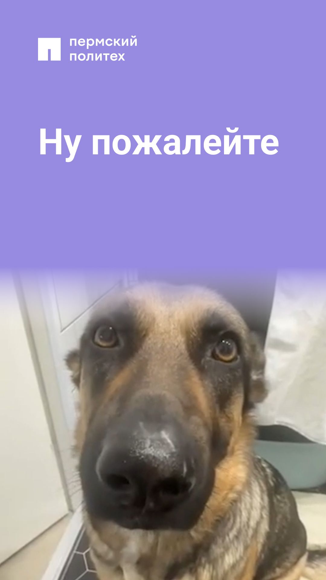 Автомат мне только снился