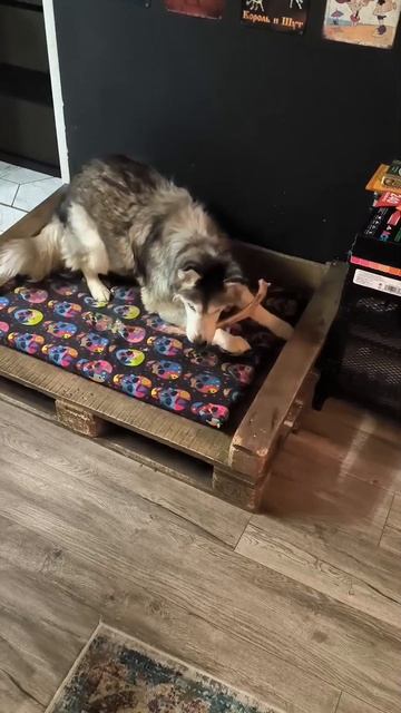 Мясной чупа-чупс