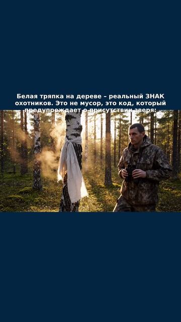 Сигнал в лесу: