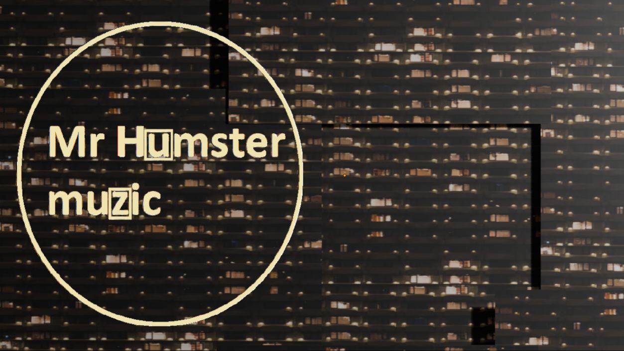 Mr Humster muzic / night city