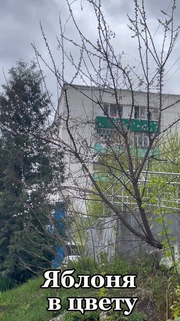 Весна — время расцветать! 🌸 Почему я начинаю новый масштабный бизнес именно сейчас?