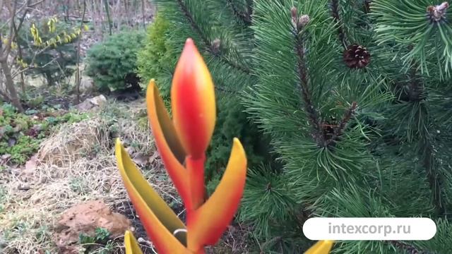 Декоративный садовый светильник Solar КАРИБСКИЙ ЦВЕТОК на солнечной батарее, 897692