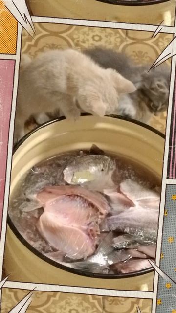 Помощники помогают солить рыбу