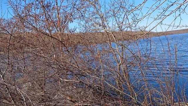 Едем на водоем