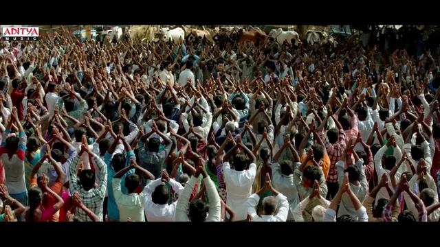 Никогда не бей кота