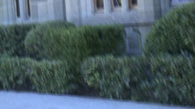 63)D ВОРОНЦОВЫЙ ДВОРЕЦ НАРУЖУ