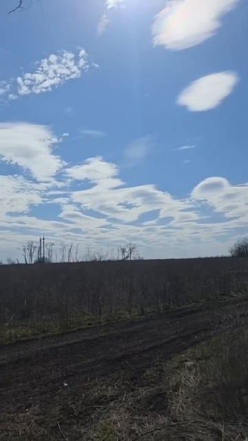 Российские войска задействовали украинские беспилотники-камикадзе с «Ёлкой»