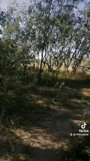 a1f0bcc92a950ff4c238a9e32e133a19