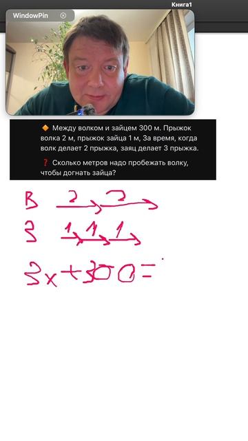 Заяц, волк. Заяц, волк