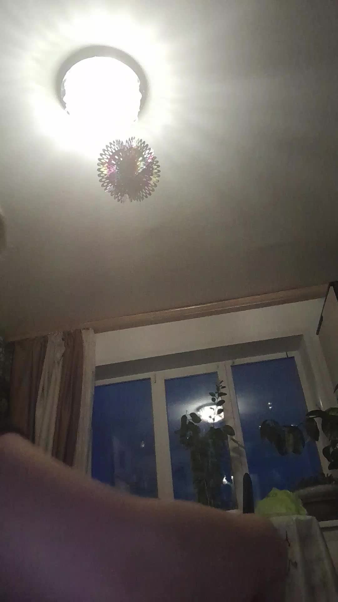 стрим гуляем