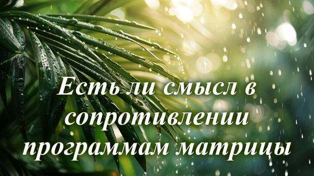 Есть ли смысл в сопротивлении программам Матрицы