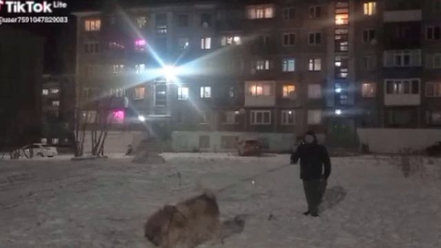 13376.mp4 Елена Дружиненко Воркута