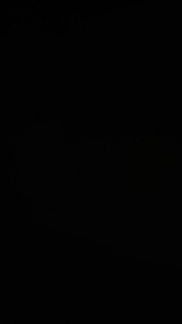 ВОЗВРАЩАТЬ ВИДЕО?