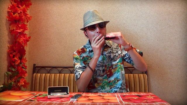 Let it Be The Beatles кавер на хроматической губной гармошке