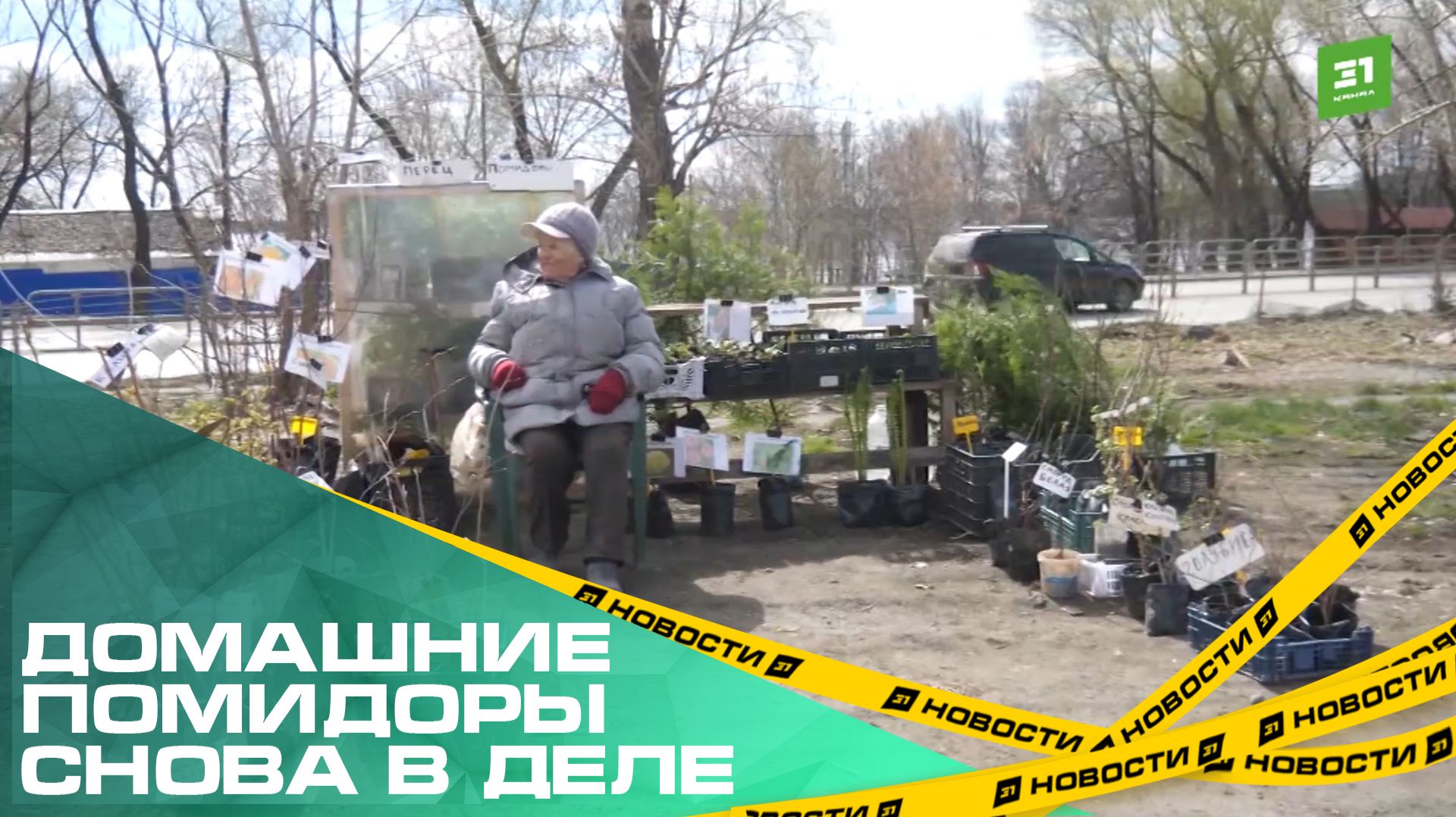 Домашние помидоры снова в деле. В Челябинске открывают новую площадку для ярмарки садоводов