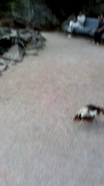 98)D ВОРОНЦОВЫЙ   ДВОРЕЦ НАРУЖУ ТЕРРИТОРИЯ