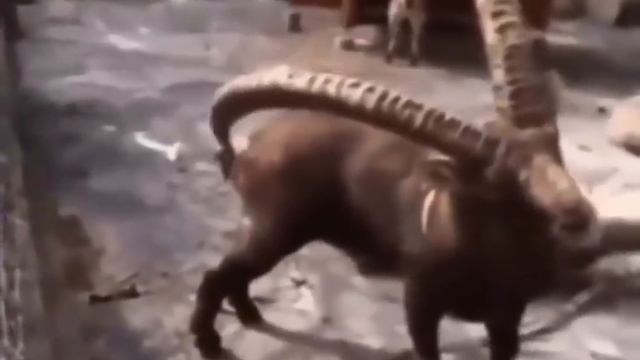 топ олдовский мемасик