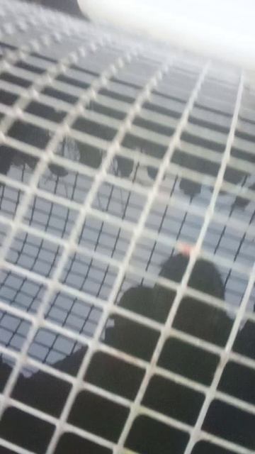 Валера сбежал😭