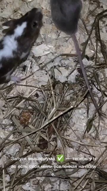 Обычный день