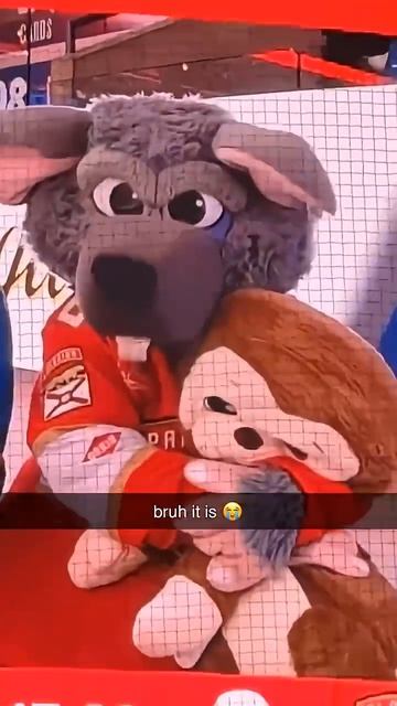 In this house, we protect Punch ❤️