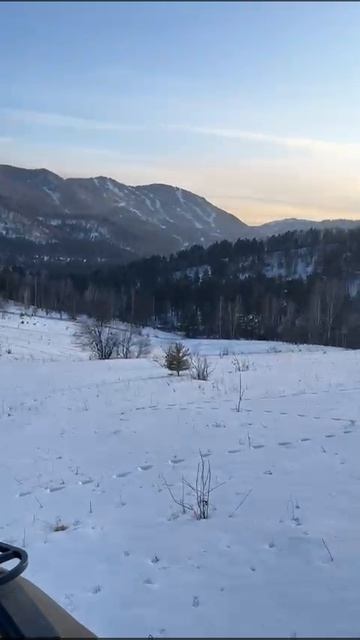 Зимние прогулки по Алтаю!