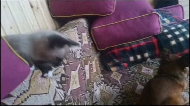 Борьба за место