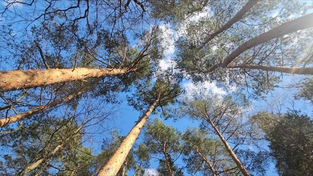 НЕМНОГО О ЖИЗНИ...эфир от 22 апреля 2026 года...