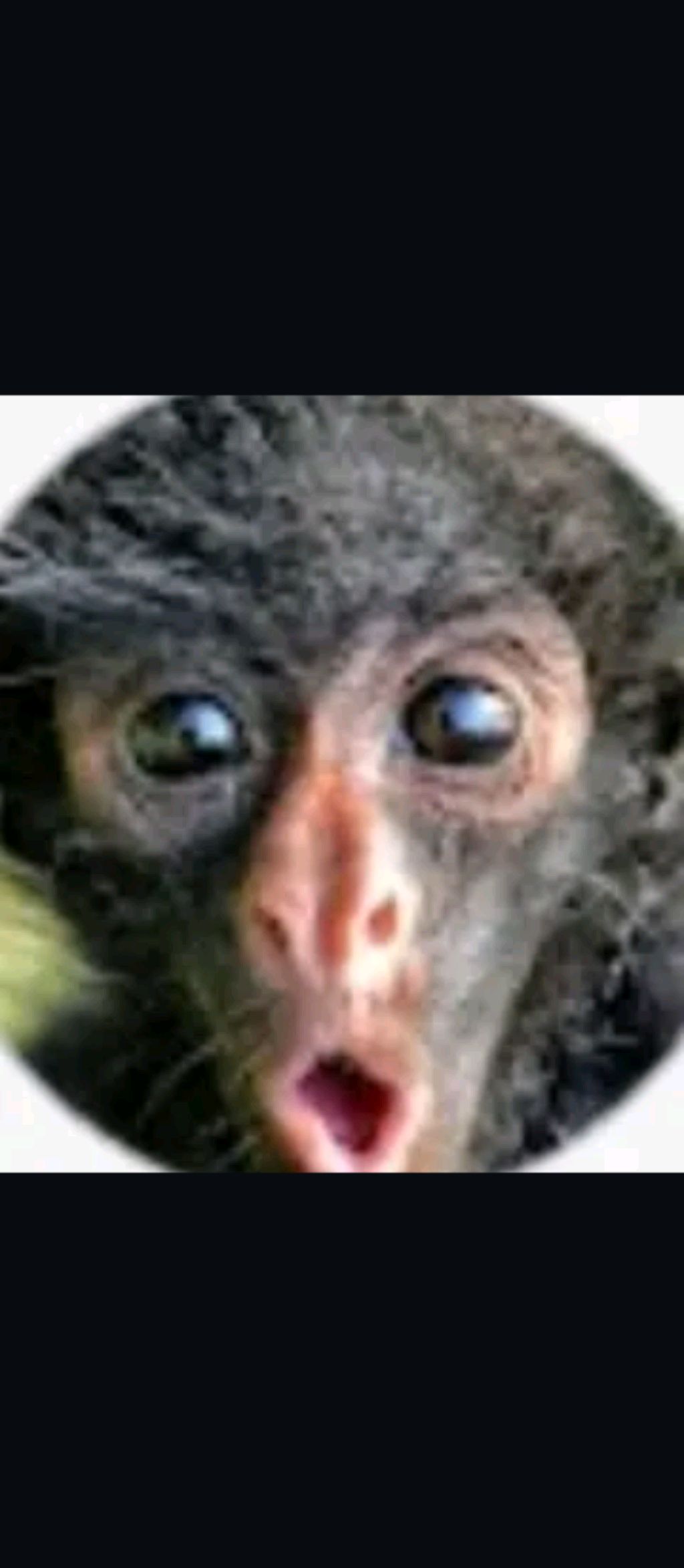 со своим зайдите ПЖ