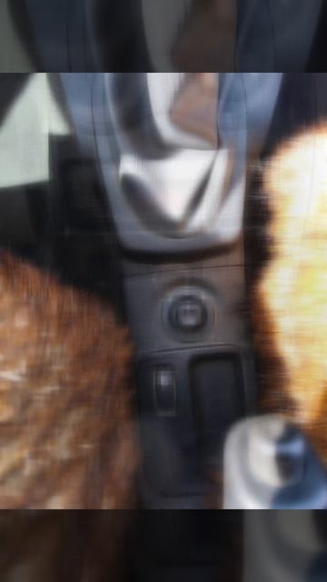 Лада Ларгус 2018