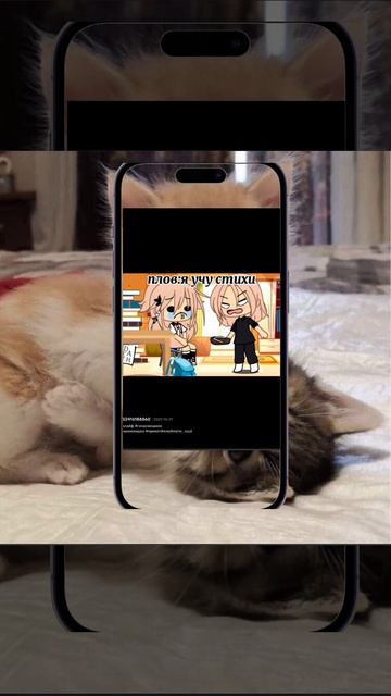 П-ов:я учу уроки🤣