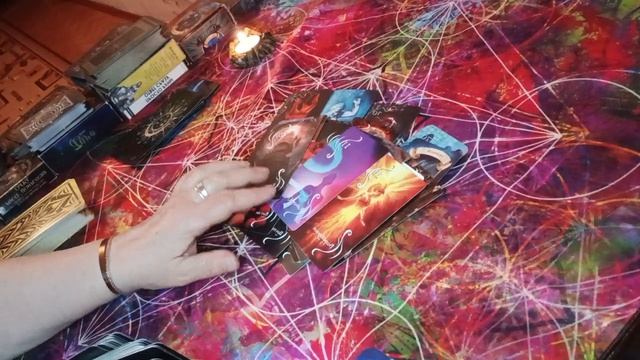 Весеннее обострение  🕸️🕷️‼️⚖️