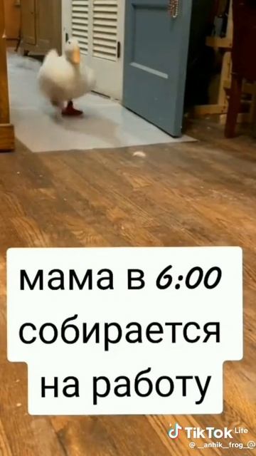 01df0faf9c92b20d5a3e0b809d2338a9_1776829526631.mp4