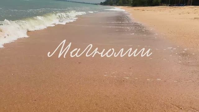 Дарья Васенёва - Магнолии