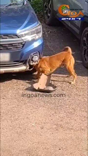 video_2026-02-22_15-34-35