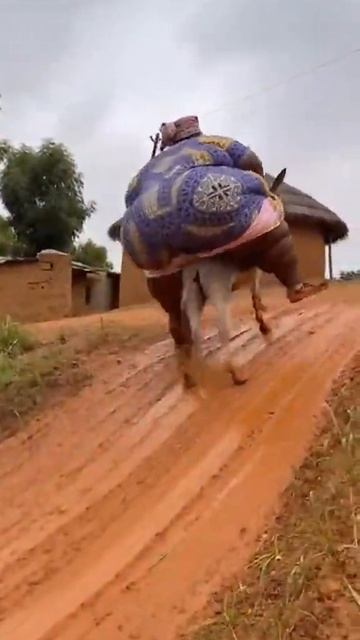 прикол смех.mp4