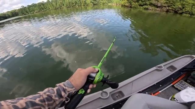 FISHING FOR MONSTERS FISH W_ LIVEBAIT