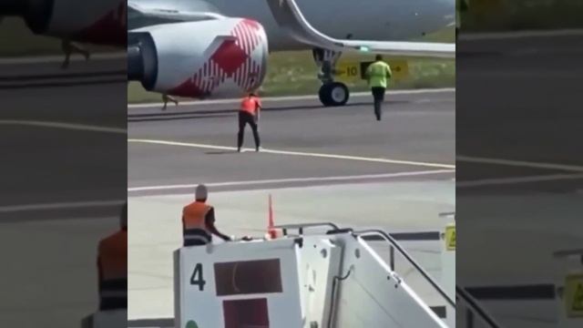 Залез в двигатель самолета