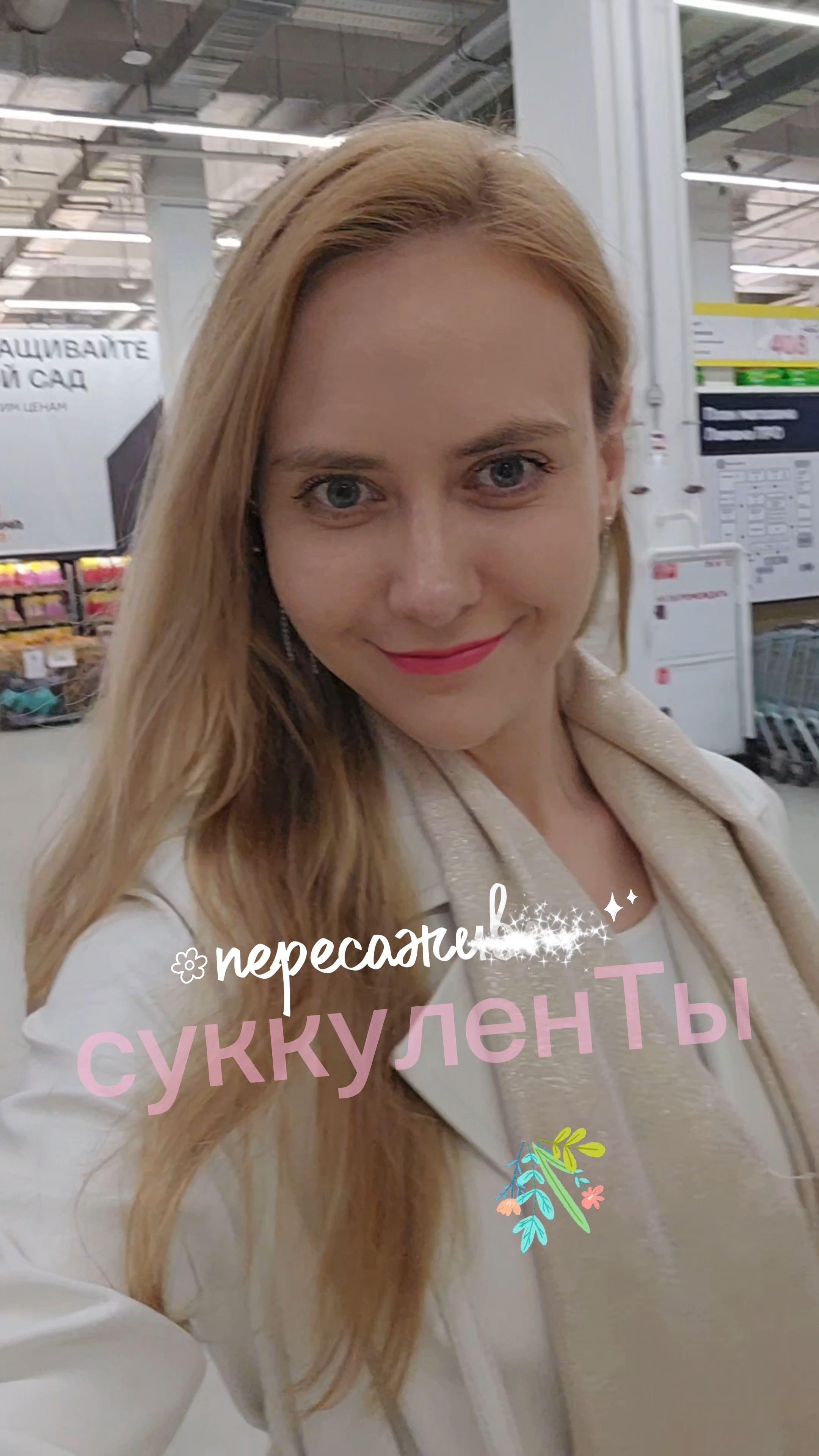 Пересаживаю суккуленты