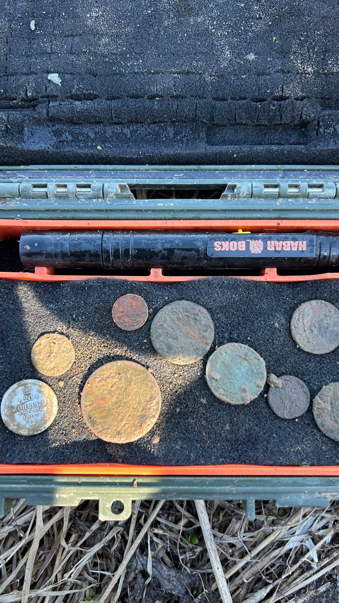 Нашел Царское монеты и разбогател