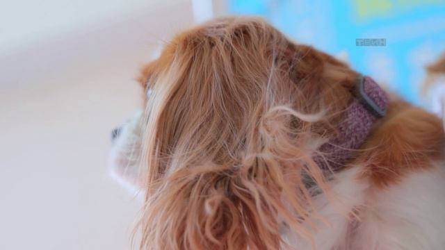 Ярмарка профессий в школе 175