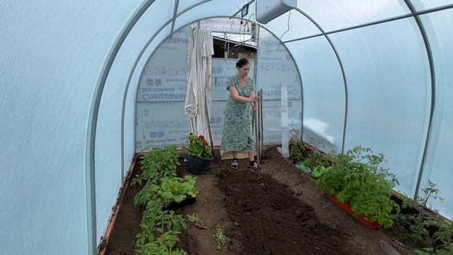 Фитнес для огородника. Огурцы на своем месте.