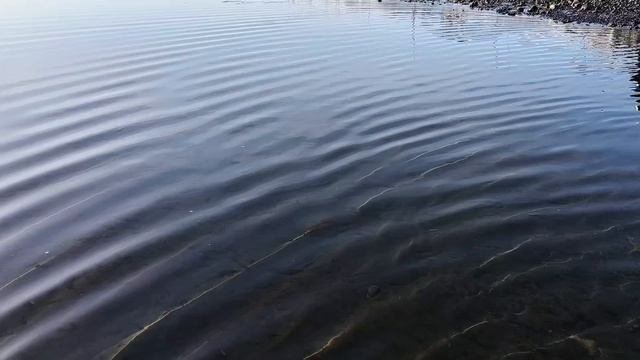 Прогулка по берегу Охотского моря возле п. Эвенск Магаданской области.