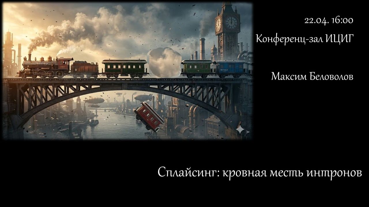 Максим  Беловолов 