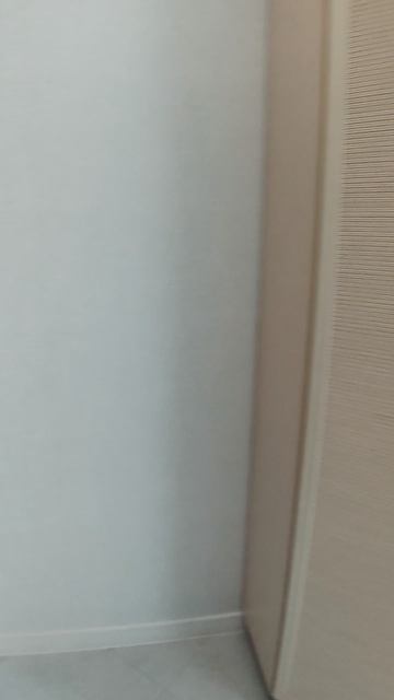 Светлый, 46/6, 18