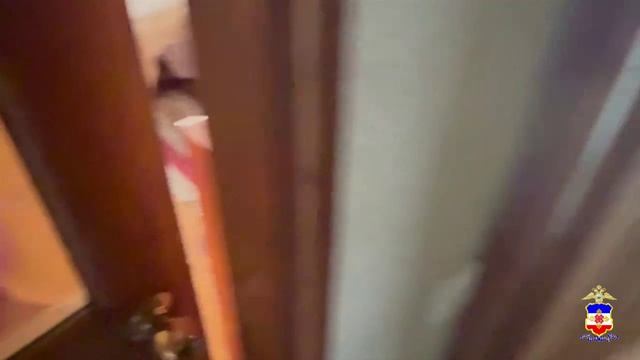 За изготовление и распространение порнографии полицейские Марий Эл задержали жителя Сочи