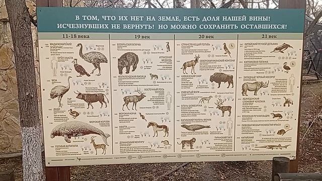 1000016865.mp4 Такой вот печальный стенд в зоопарке