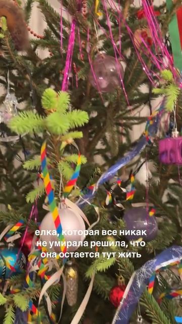 Наступила весна