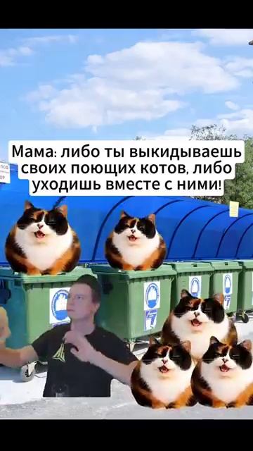 Выбор очевиден #юмор #милота #котость