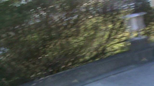 81)D ВОРОНЦОВЫЙ ДВОРЕЦ ТЕРРИТОРИЯ